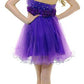 CLEARANCE - Cinderella Divine 414 Short A-Line Tulle Dress (Size 6)